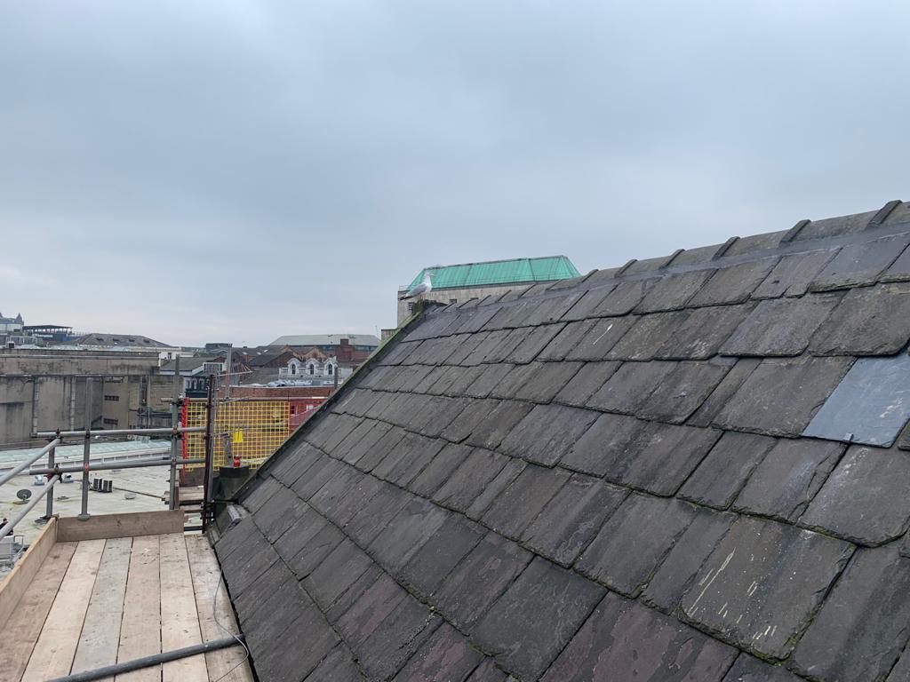 Liverpool Slate Roof