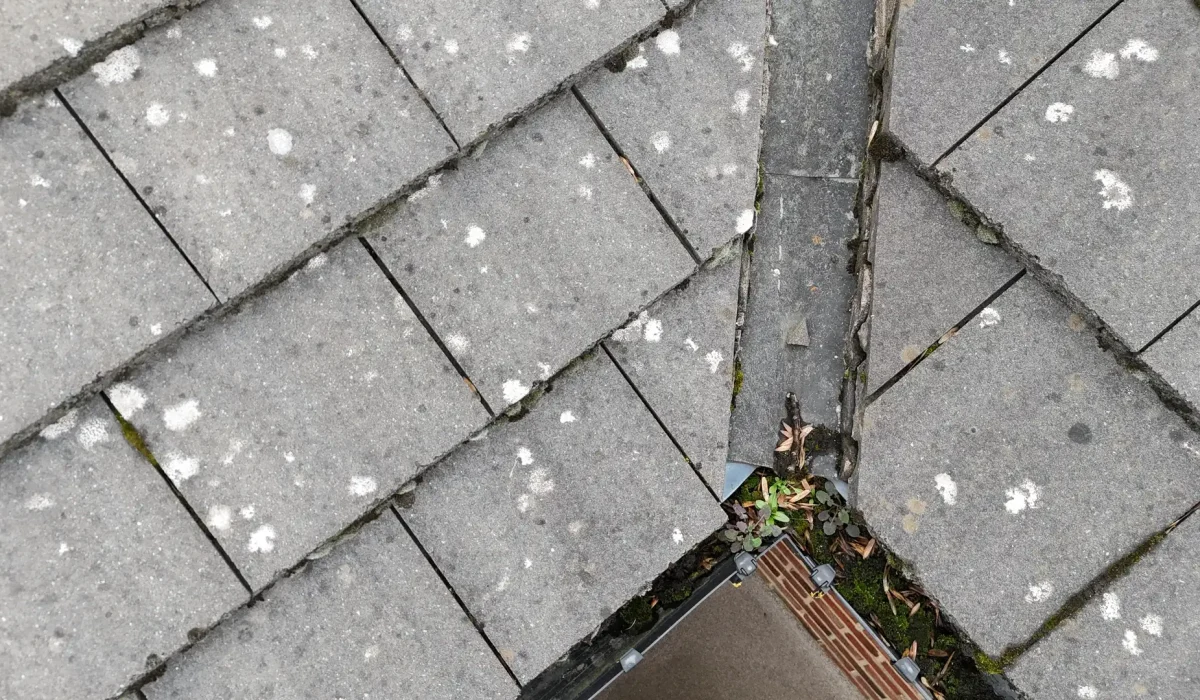 Roof Valley Leak